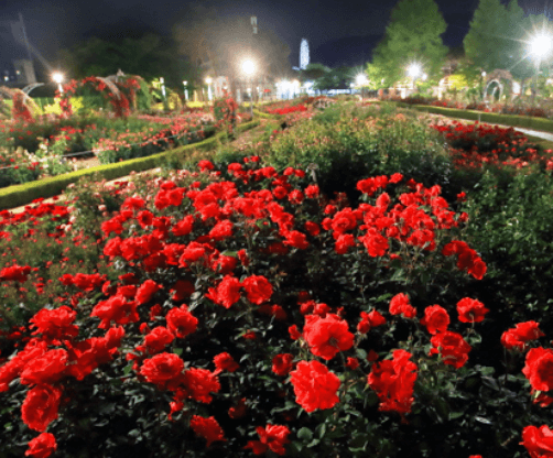 5월 전라남도 축제 가볼만한 곳 여행 추천 소중한 추억을 전합니다