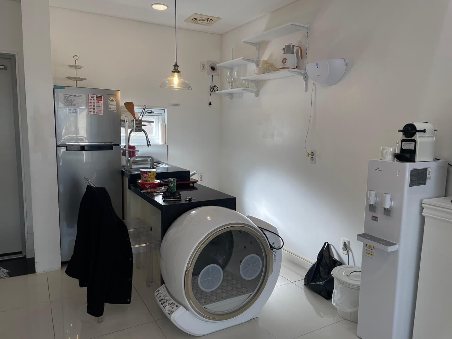 엘시아 애견풀빌라