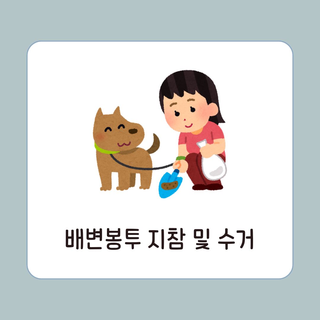 반려동물과/여행하기/대중교통별/이용방법 