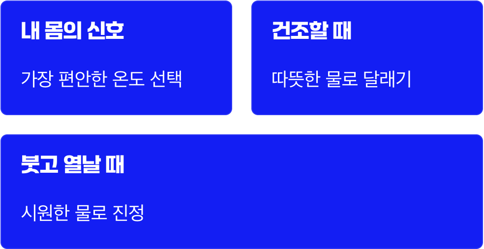 그래서, 오늘의 정답은 무엇일까요?
