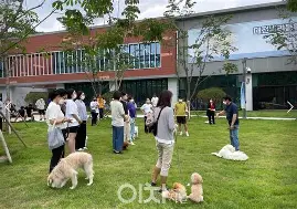 강아지 분리불안 훈련법