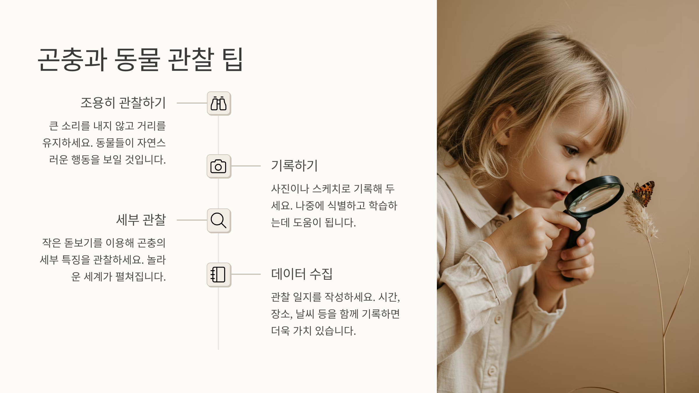 🦋 곤충과 동물 관찰 팁