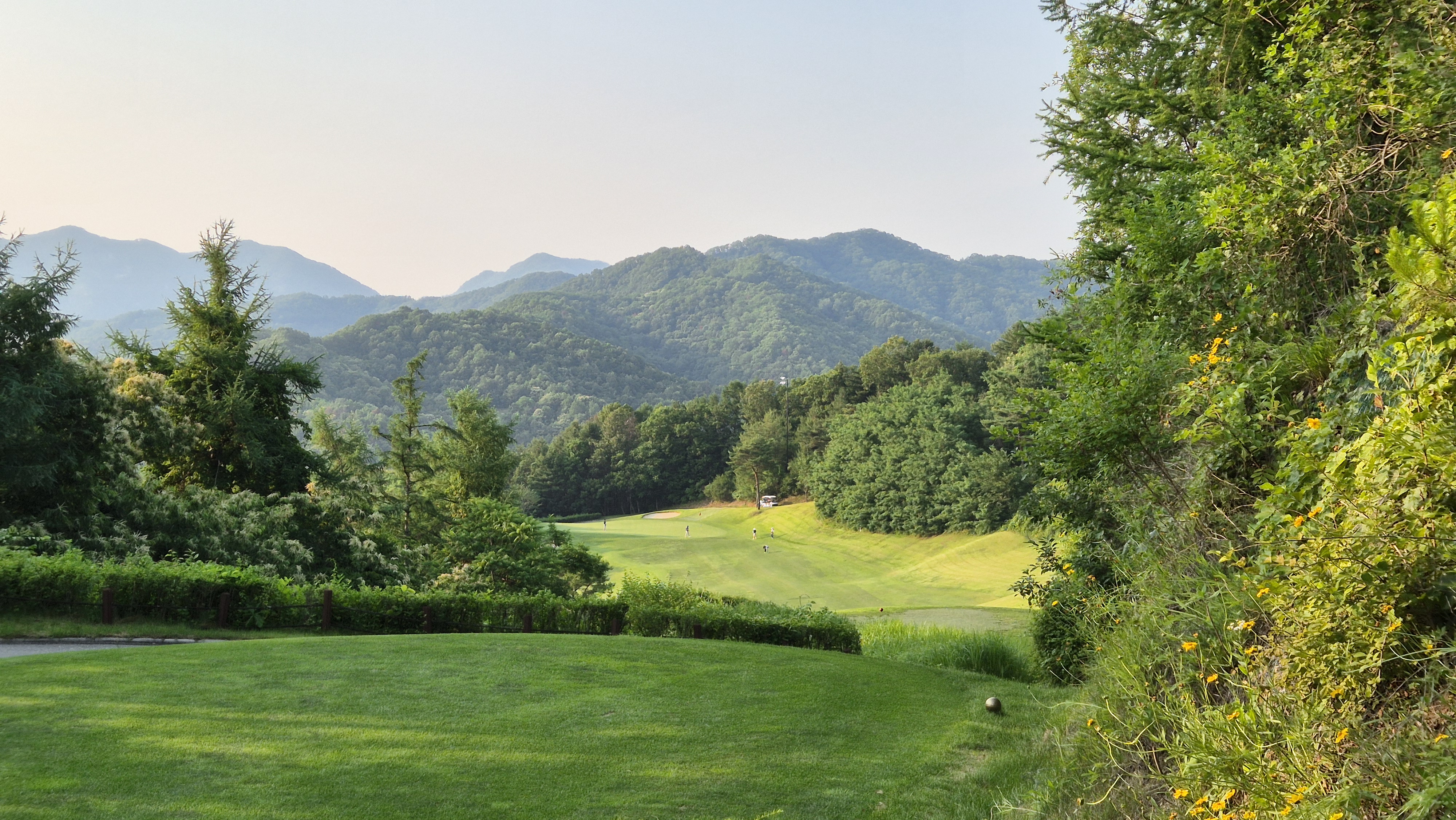 오너스gc 코스 사진