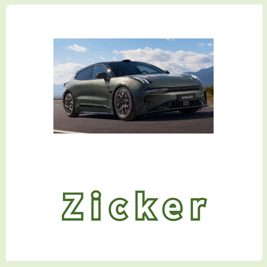 Zicker의 지리적 그룹 확장과 글로벌 진출 전략