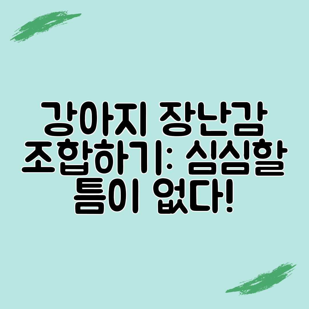 강아지 장난감 조합하기 심심할 틈이 없다!