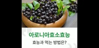 아로니아 효소만드는법과 효능효과 부작용 꽃 엑기스 활용법_22