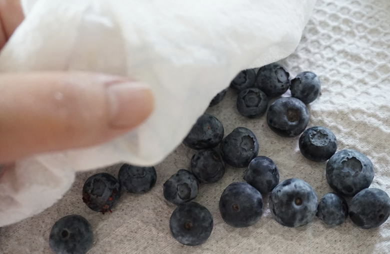 블루베리 냉장 보관방법 이미지