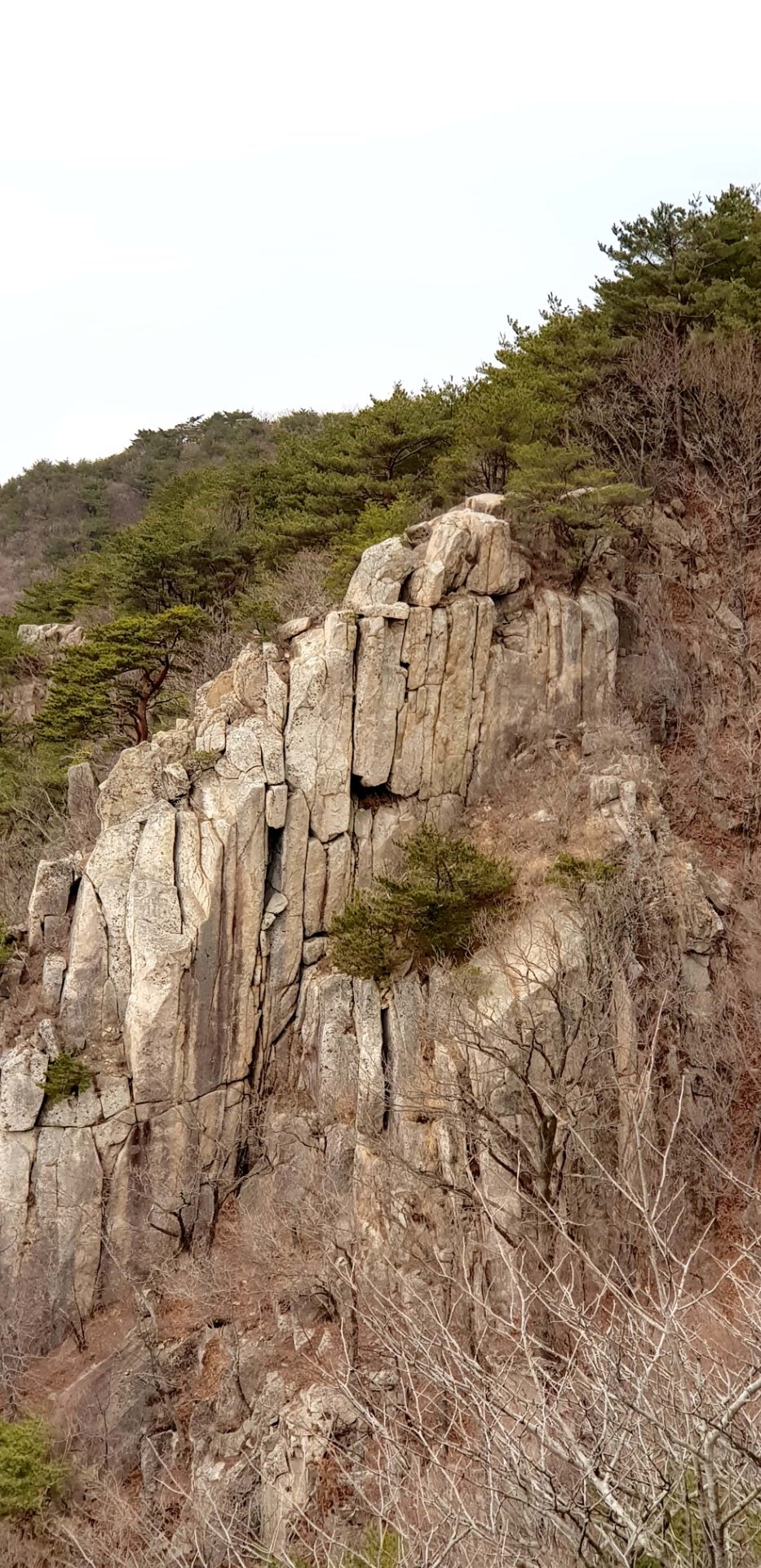 김해 신어산