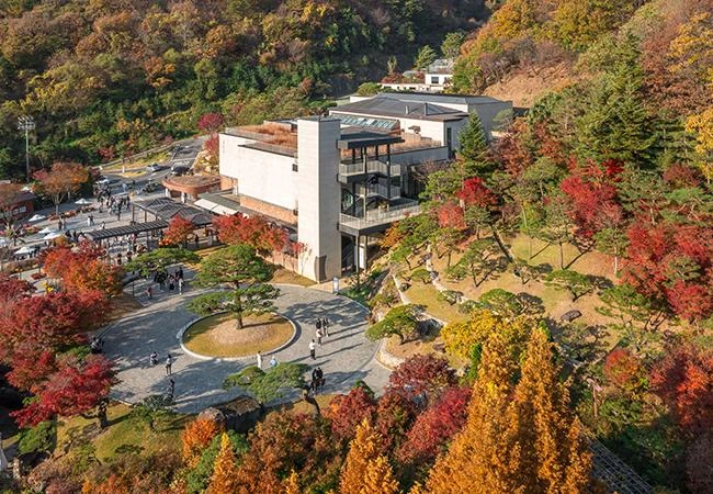 화담숲 가을 단풍