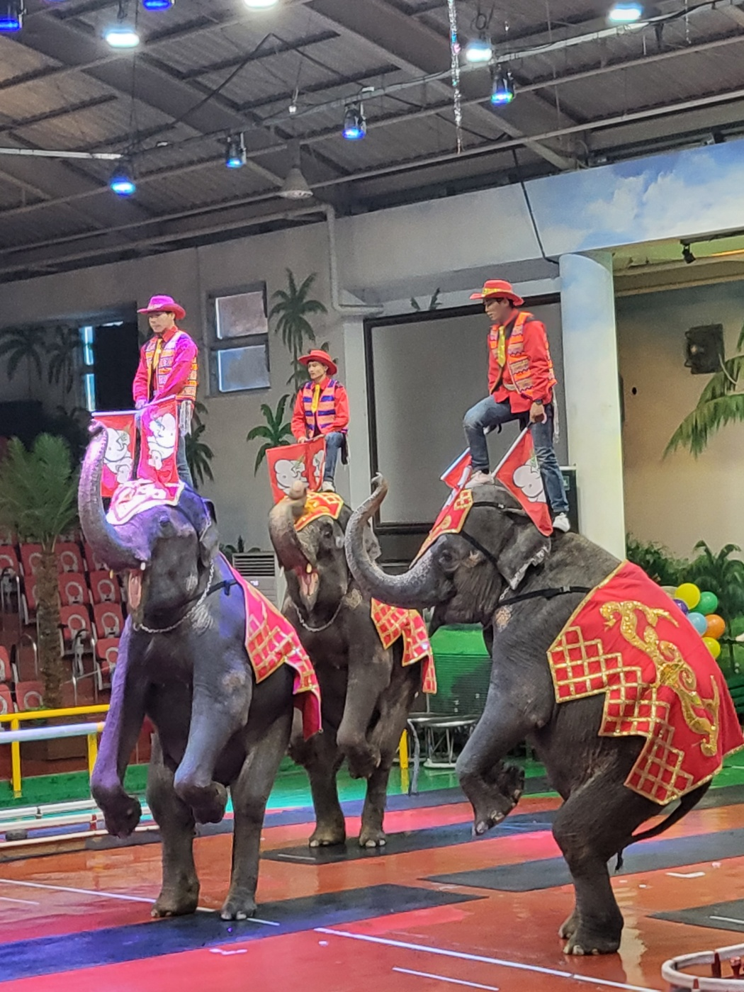 제주도 아이와가볼만한곳, 점보빌리지