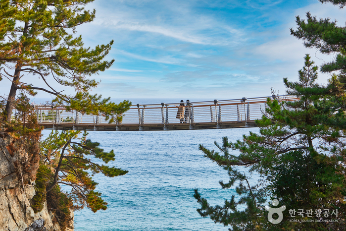 동해 가볼만한곳 - 추암해변, 촛대바위, 출렁다리