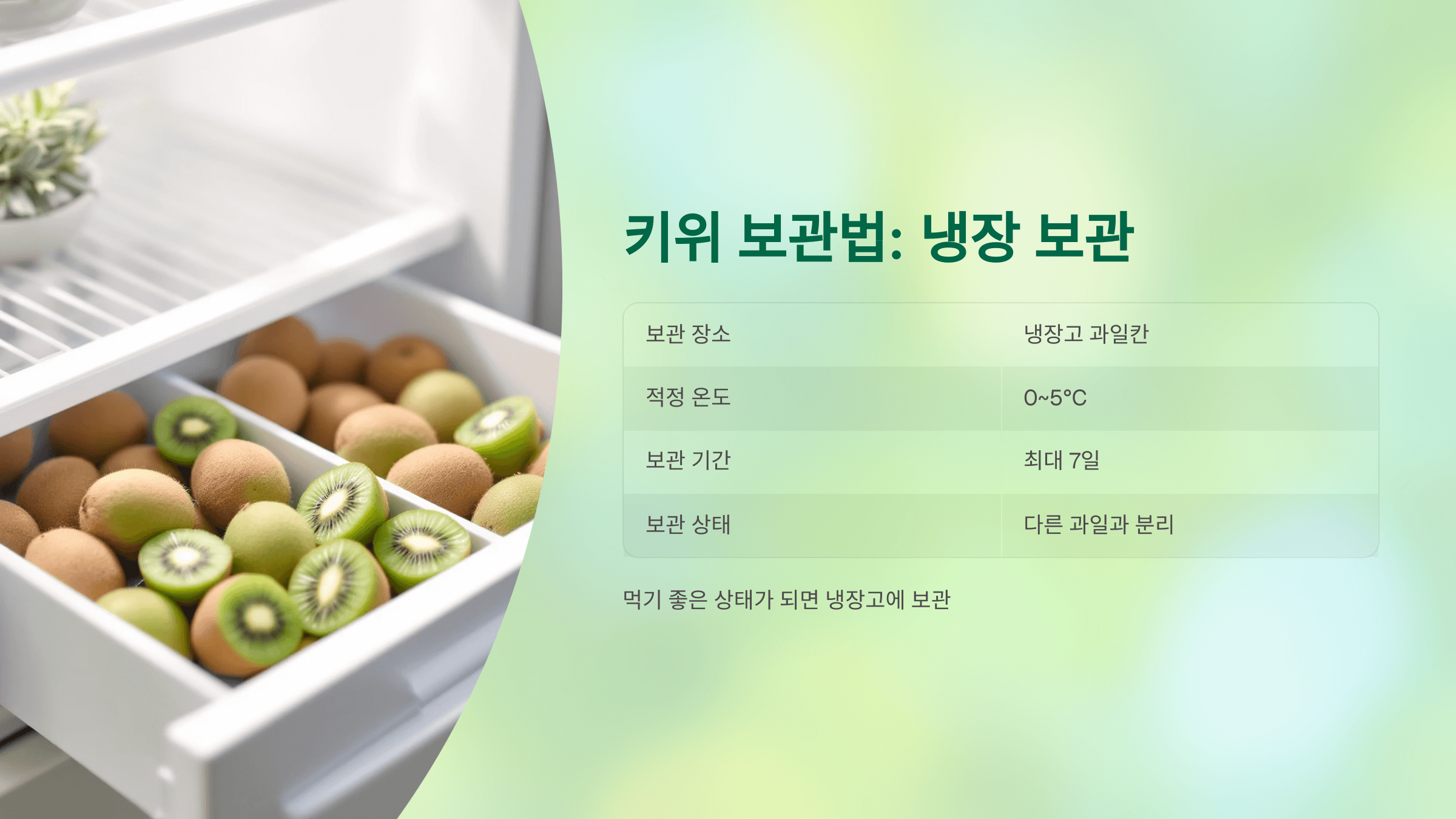 키위 사진입니다.