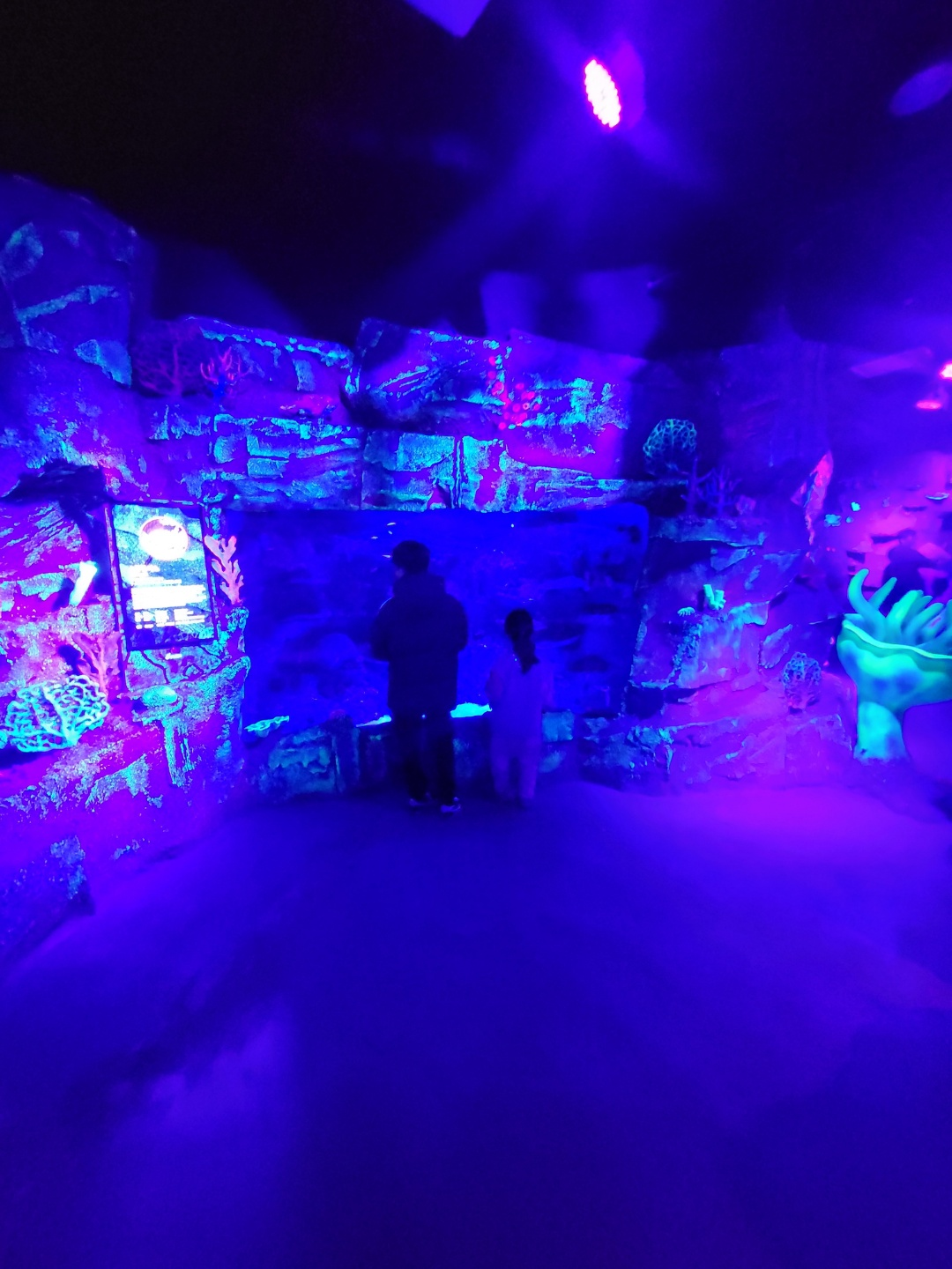 부산 아쿠아리움