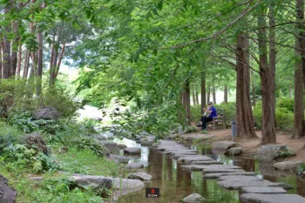 경기도 1박 2일 여행지 추천 베스트 5곳 총정리 완벽 코스_17