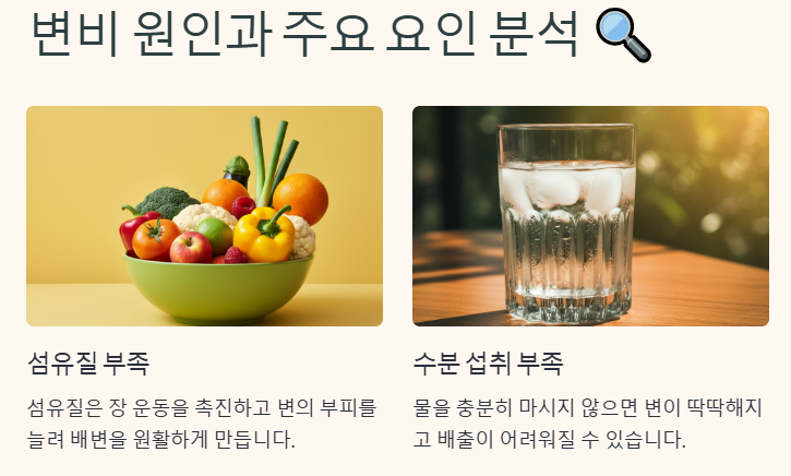 변비 원인