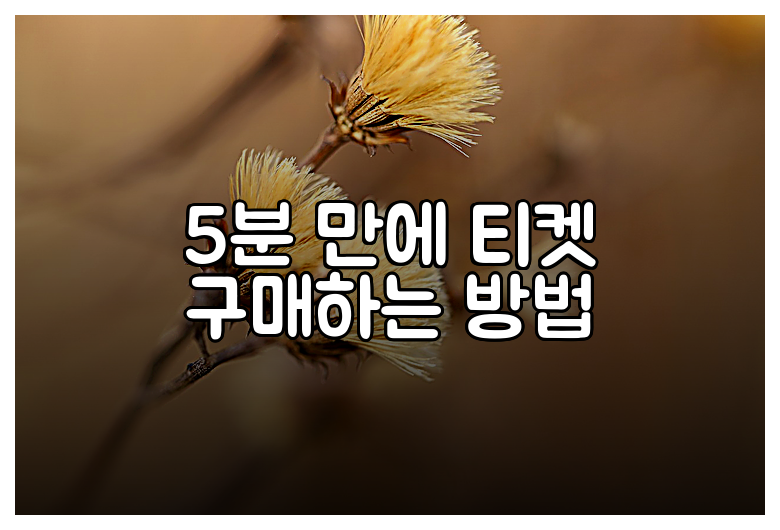 5분 만에 티켓 구매하는 방법