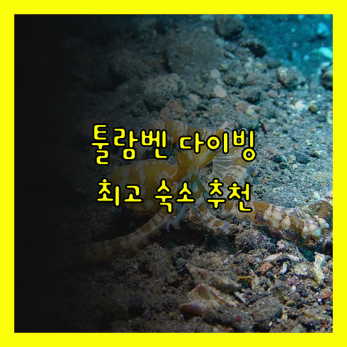 툴람벤 다이빙 여행? 숙소 고민 끝!