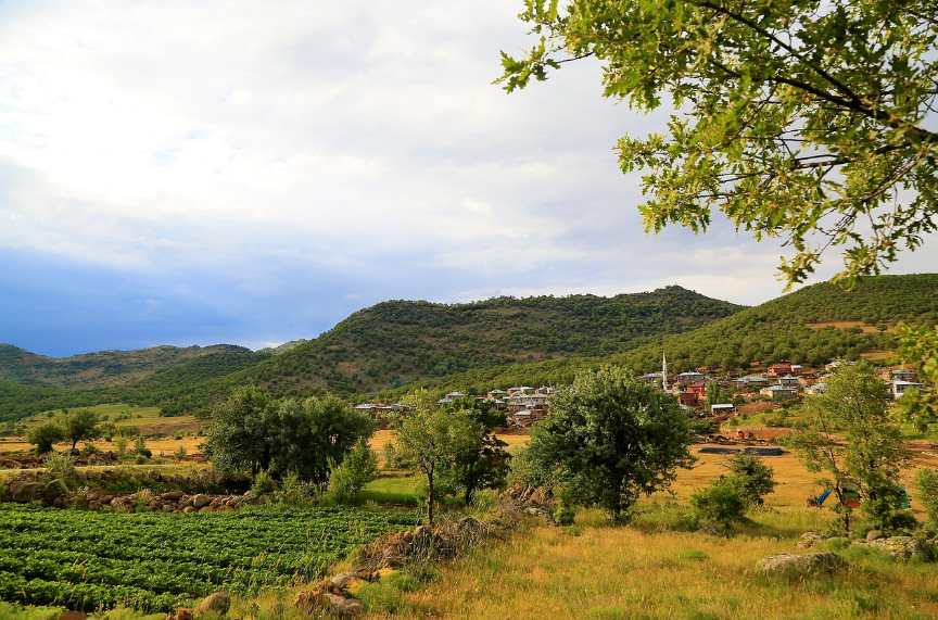 한국 시골을 담은 소설 (농촌배경, 삶의 철학, 휴머니즘) 참고 사진