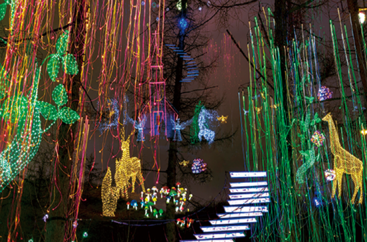 아침고요 수목원