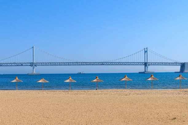 부산 광안리 해수욕장 개장 및 편의시설 정보