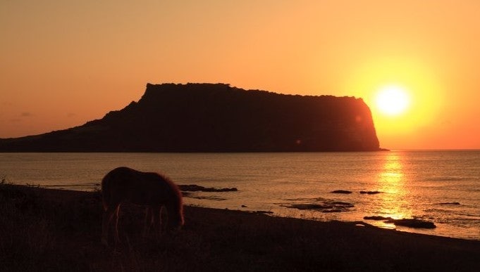 제주도 일출명소 BEST3