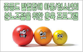 지적장애아동에 대한 정의 및 특성 과 필요한 정보모음