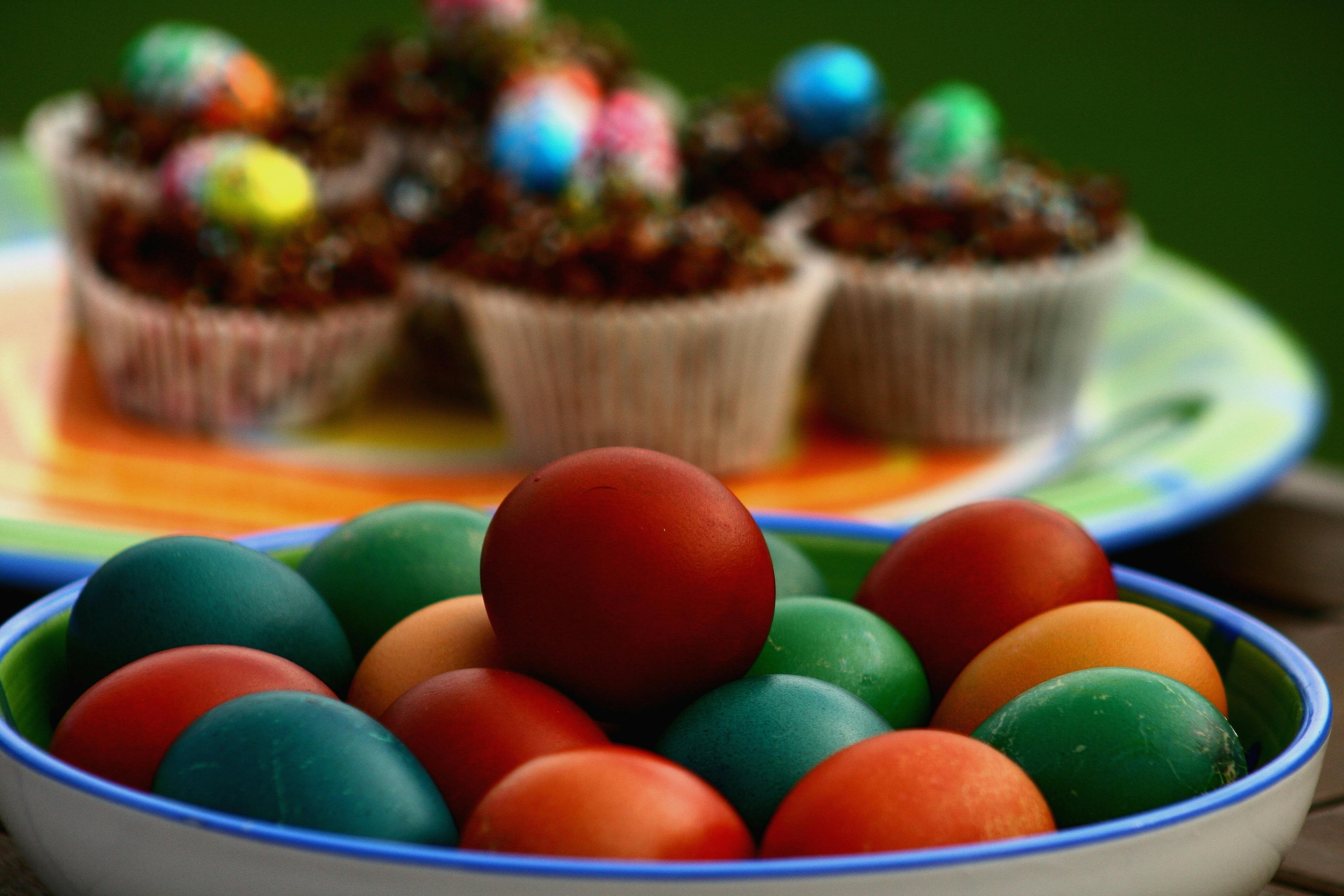 충북 최초 인구감소지역 4자녀 가정지원사업