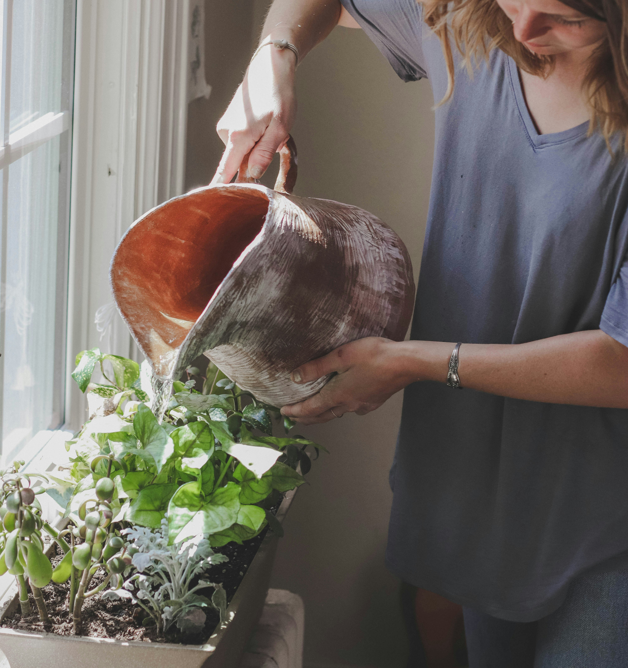 홈 가드닝에서 키우기 쉬운 채소와 유용한 팁