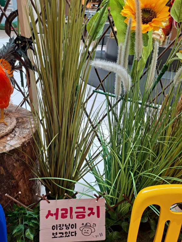 이장님 출몰시간