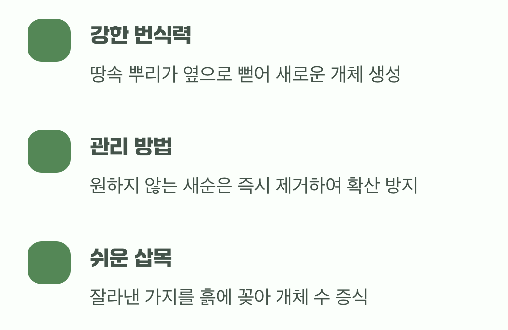 한 그루가 정원이 되는 마법