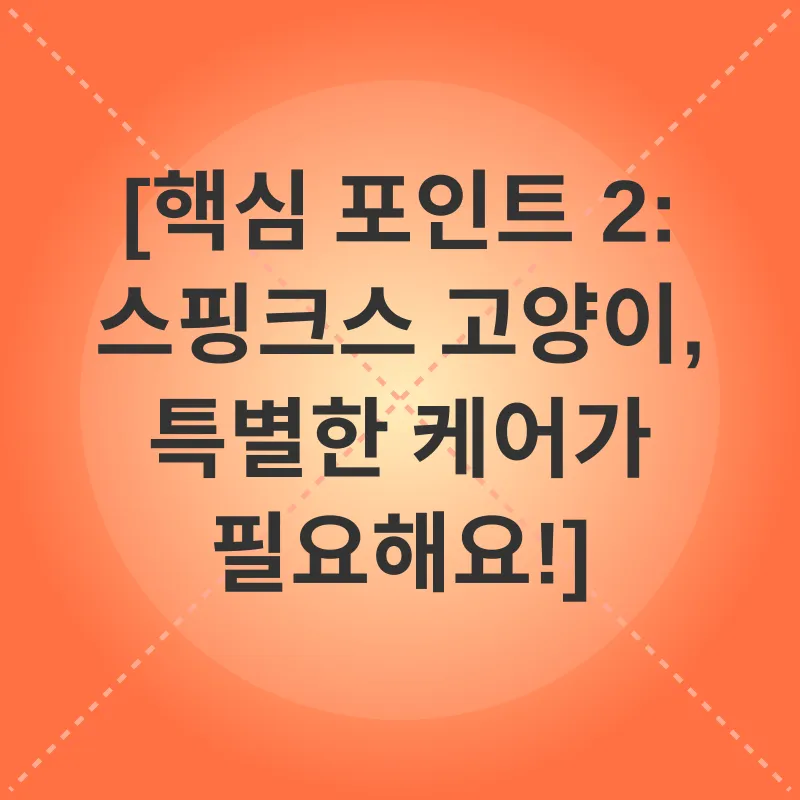 스핑크스 고양이 입양_2