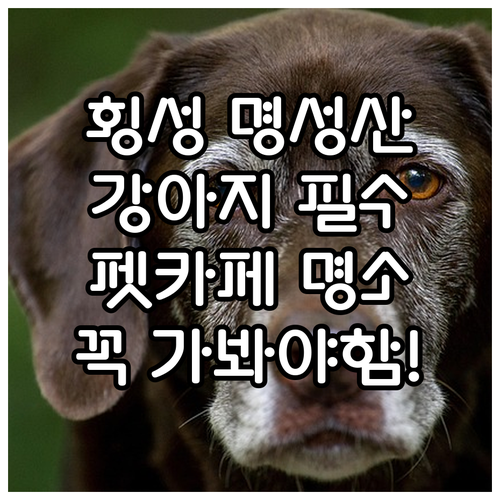 강아지와 함께 가기 좋은 횡성 명성산..