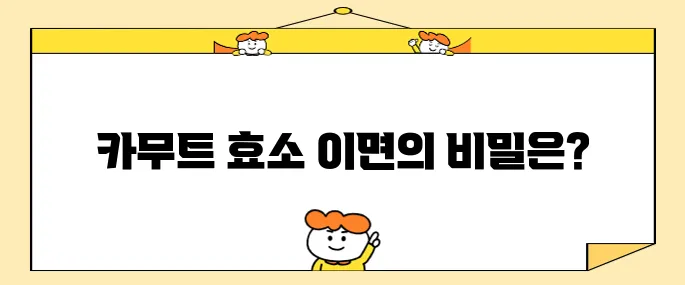 카무트 효소 만드는 법을 간단하게 알아봅시다!