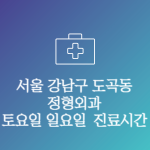 서울 강남구 도곡동 정형외과 주말 토요일 일요일 문여는 병원 진료시간