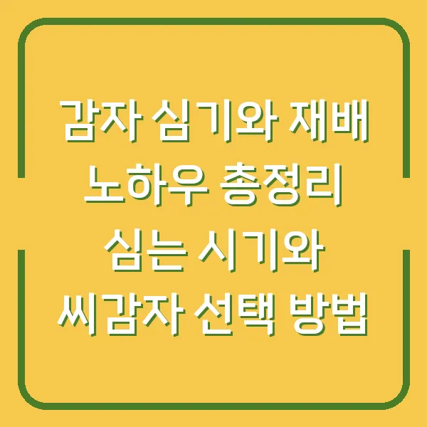 감자 심기와 재배 노하우 총정리 심는 시기와 씨감자 선택 방법