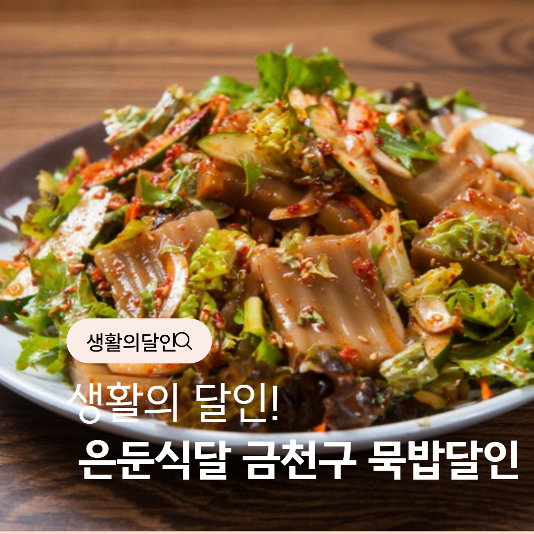 생활의 달인 은둔식달 금천구 묵밥달인 썸네일