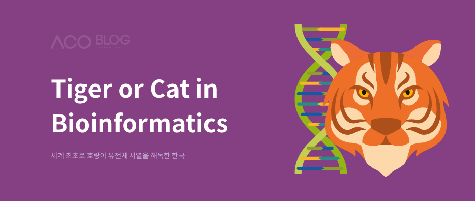 2022년, 임인년, 호랑이해