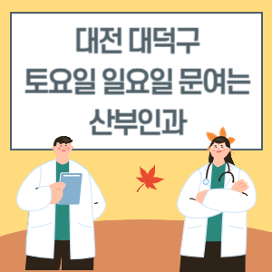 대전 대덕구 토요일 일요일 산부인과 진료 문여는 병원 리스트