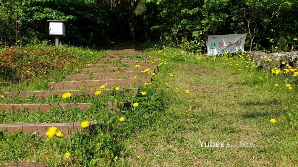대수산봉 올라가는 길