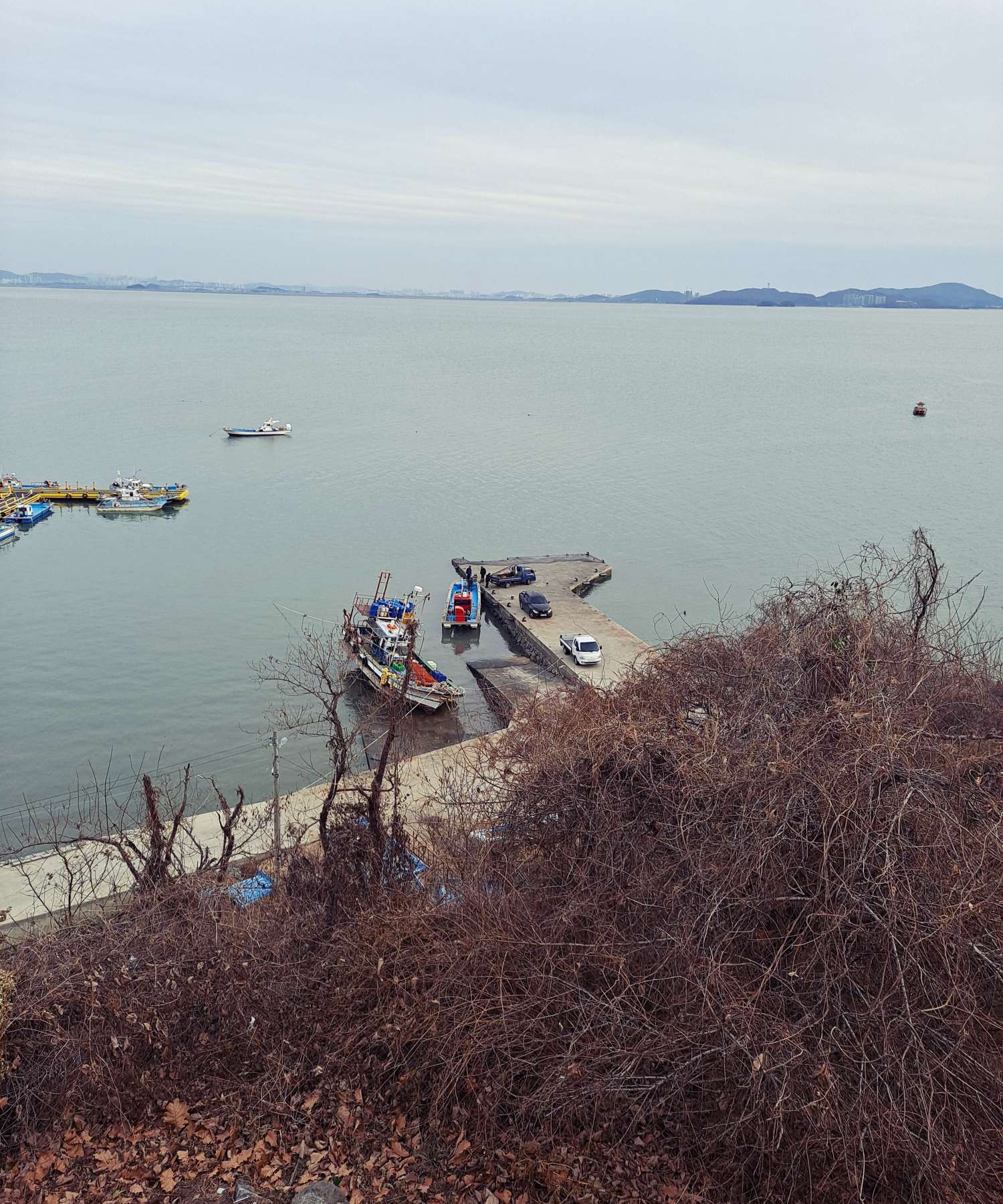 분오리항 어선들