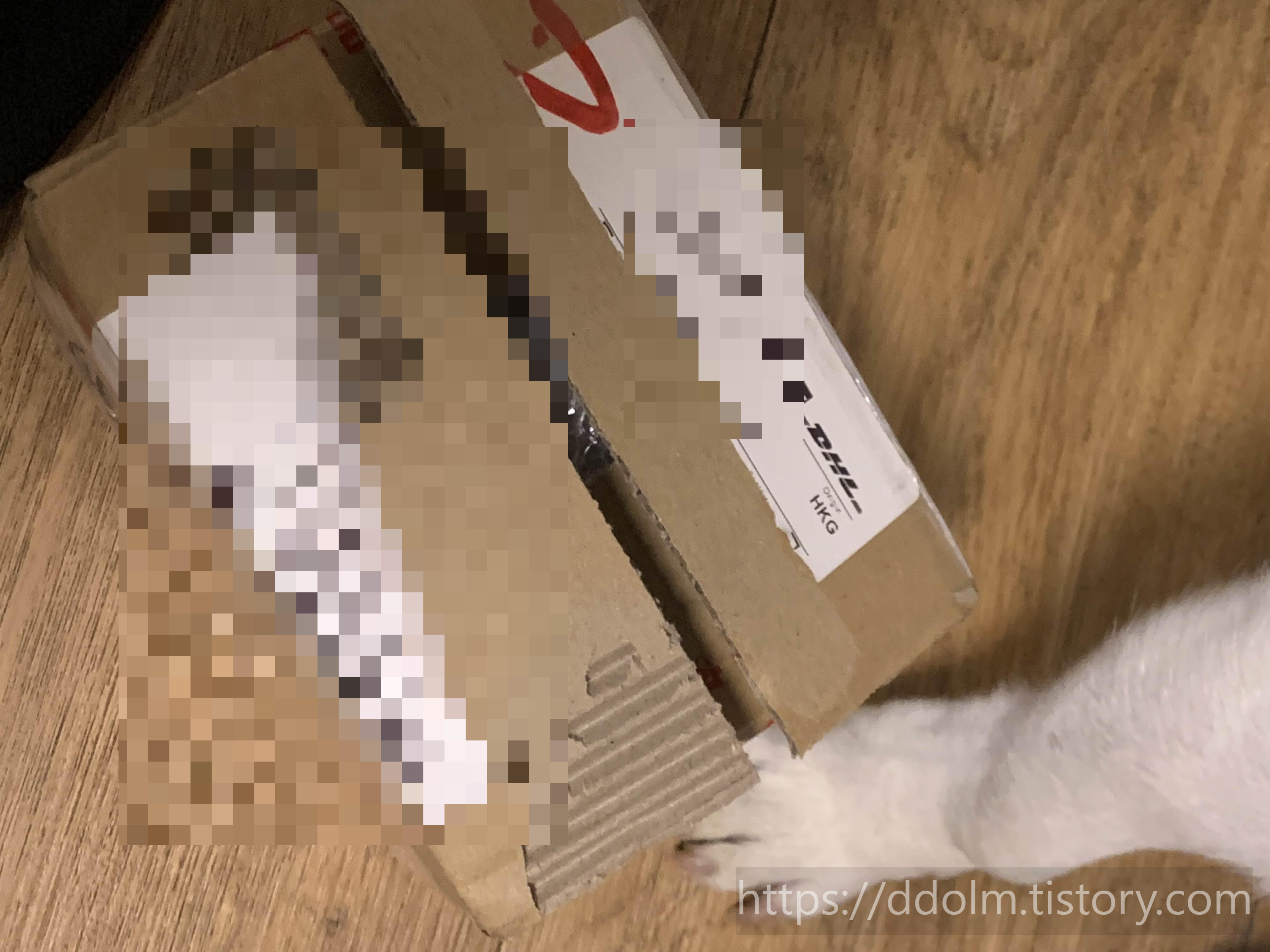 포레오 루나4 바디