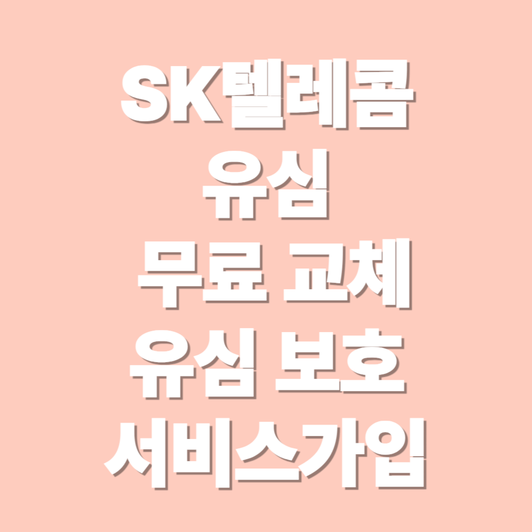 SK텔레콤 유심교체 유심보호가입