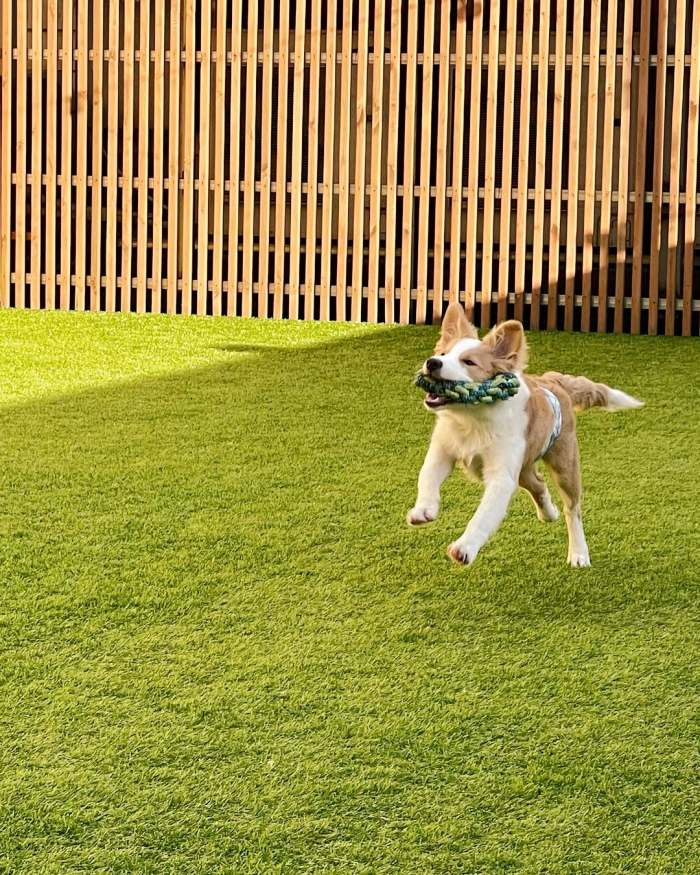 생생정보 틈새 알바 이거 어때