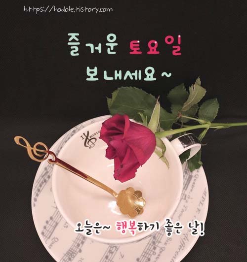 주말카톡인사이미지