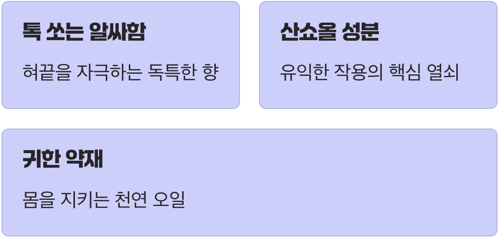 첫인상은 강렬, 하지만 핵심은 그 안에