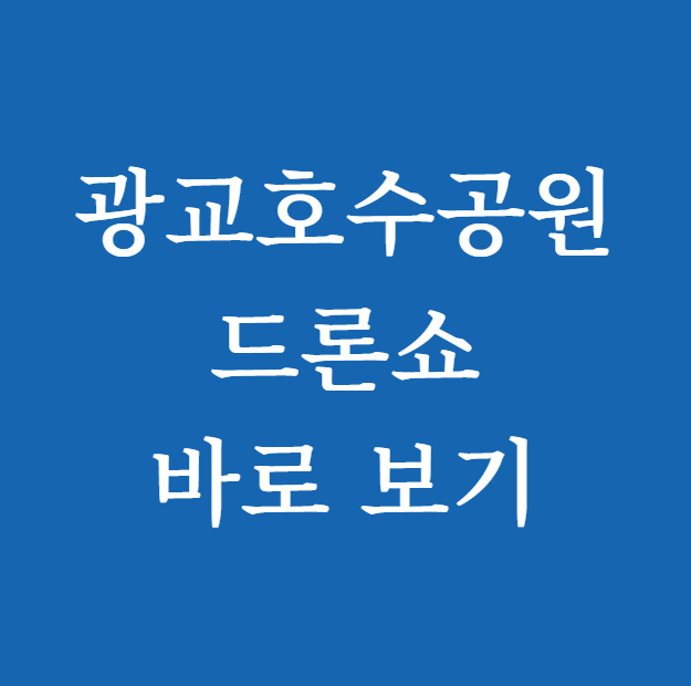 광교호수공원 드론쇼 바로 보기
