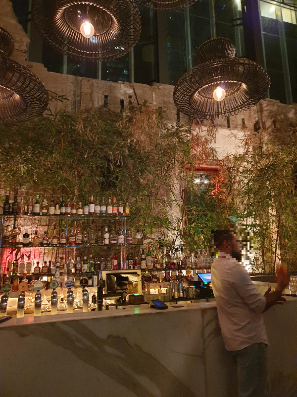 시드니 재즈 바와 라틴 바(살사 바): BarMe, Establishment Bar, Pontoon Bar_Establishment Bar