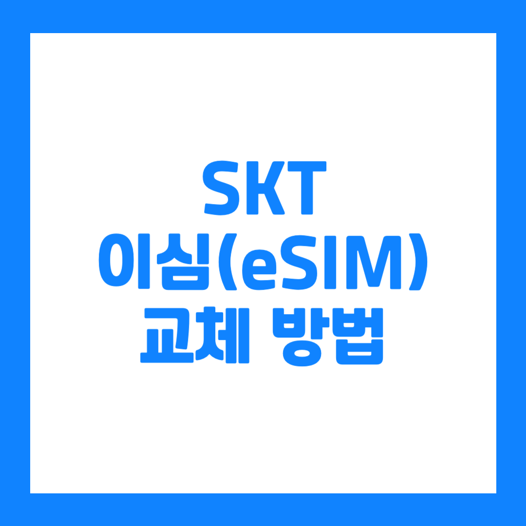 더보기
SKT 이심(eSIM) 교체방법