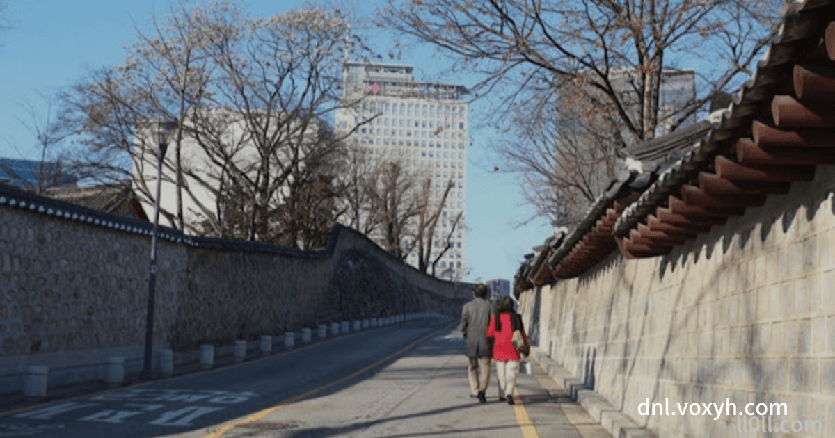 덕수궁 돌담길