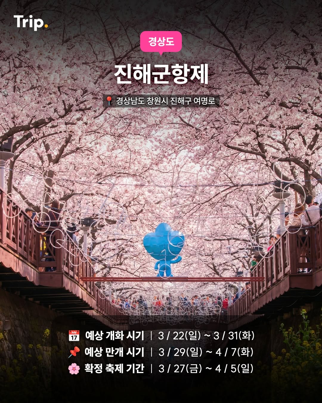 진해군항제 (창원)--봄바람 벚꽃축제지도